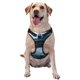 thumbnail image 1 of Fotbe Blue Thunder Storm Dragon Arnés para Perro con Estampado –Chaleco Ajustable Acolchado con Asa de Control para Perros Grandes-Large, 1 of 6