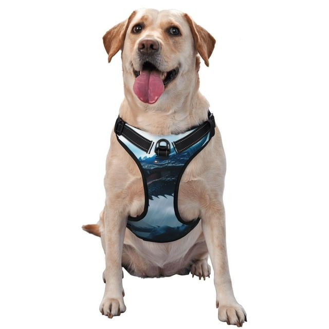 Fotbe Blue Thunder Storm Dragon Pattern Dog Harness, No-Pull Pet Harness with 2 Leash Clips, Adjustable Soft Padded Dog Vest with Easy Control Handle for Large Dogs-Large