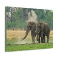 thumbnail image 2 of Couple of African Elephant Outdoor Wall Art Ready To Hang Unframed, 2 of 18