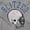 Sport Grey, variant on Blitzed Helmet Football Sport Zip Up Hoodie Men's Women's Brisco Brands X