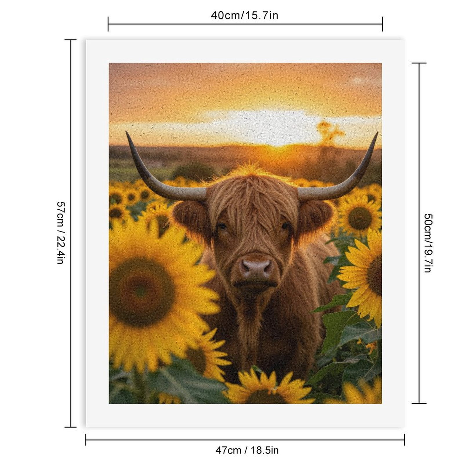 Paint by Numbers Kit for Adults, Sunset Field Cow Sunflowers Paint by Numbers, Easy Paint by Numbers Kit for Adults Beginner, DIY Adult Paint by Number Kits on Canvas, Home Decor