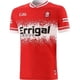 thumbnail image 3 of Camiseta de rugby alternativa de Down GAA 2024 para hombre, talla S-5XL (nombre y número personalizados), 3 of 5