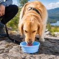 thumbnail image 2 of Dog Bowl Silicone Foldable Portable BPA-Free No Leak Travel Dish for Outdoor Hiking Camping Pets by MPOISVA, 2 of 7
