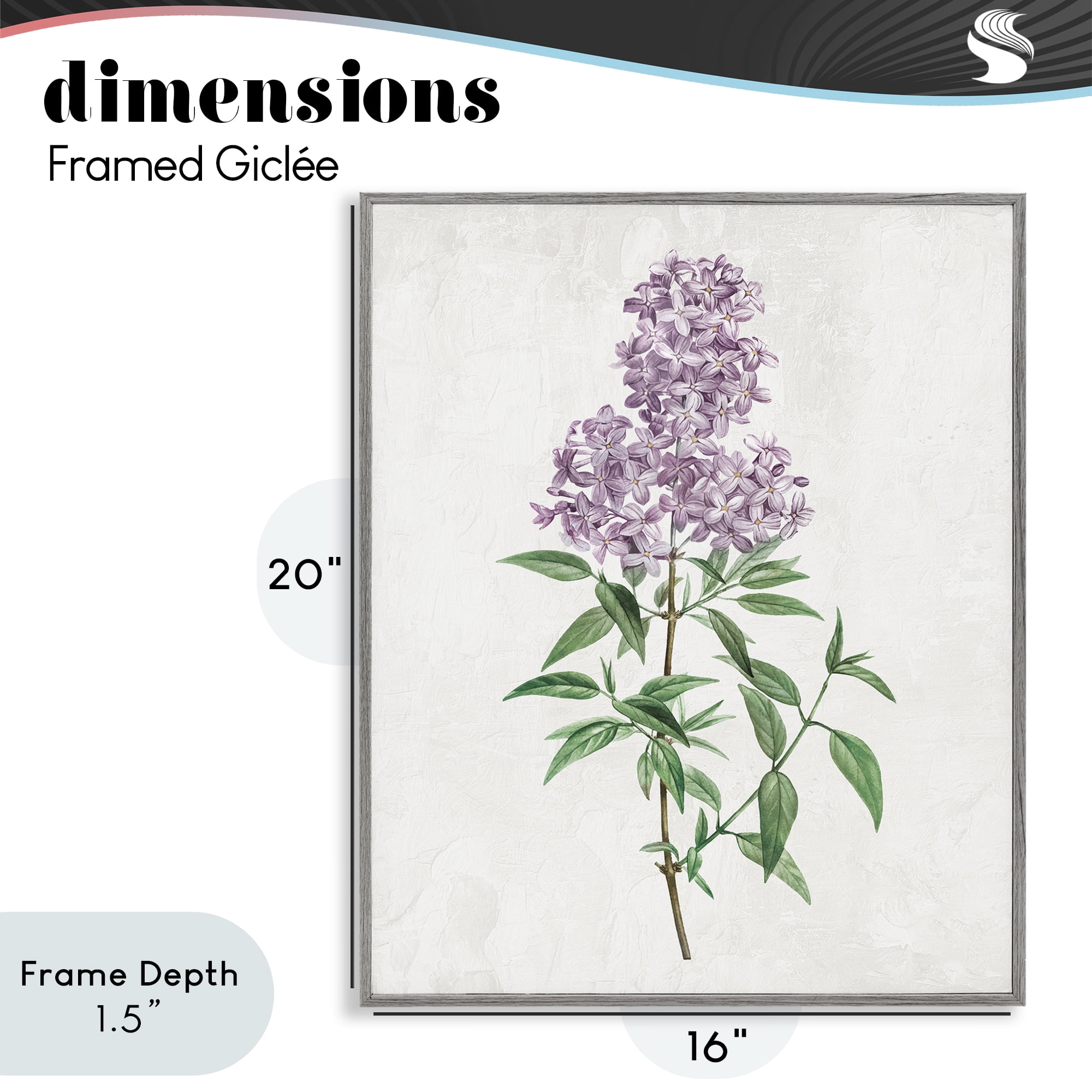 Stupell Industries Lilac Blossoms Blooms Gray Framed Giclee Art, design by Kim Allen