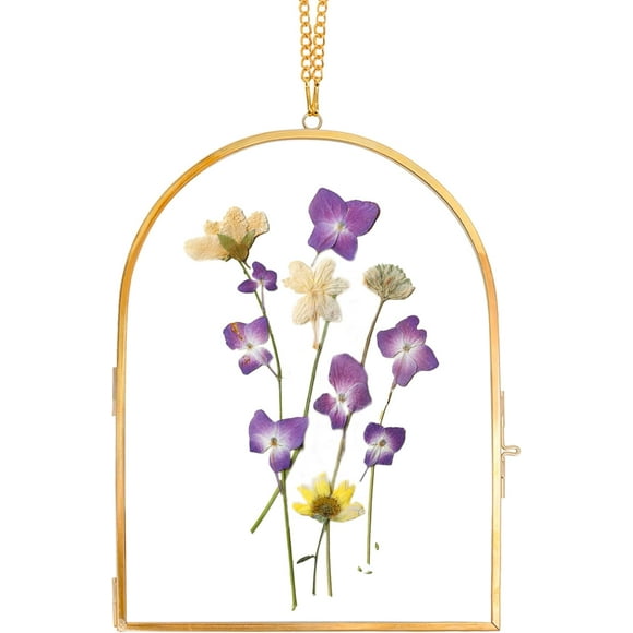 shiyou-Glass Pressed Flower Frame Handmade, Glass Frame For Pressed Flowers, Wall Hanging Floating Frame, Unique Double Glass Picture Frame for Dried Flowers Poster Home Decor, ArcShapedGold