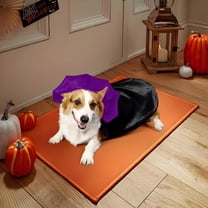 Vggrvlo Pet Halloween Costumes Pet Dracula Costumes for Small and Medium Pet Bed (Purple)