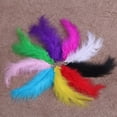 thumbnail image 4 of kayannuo 200 Pcs Feathers Natural Feathers Soft Feather Accessories for Christmas Card, 4 of 6