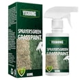 thumbnail image 2 of Green Grass Paint Spray Long Lasting Turf Paint Enhance Patchy Dormant Yellowing Grasses For Grass Turf, 2 of 4