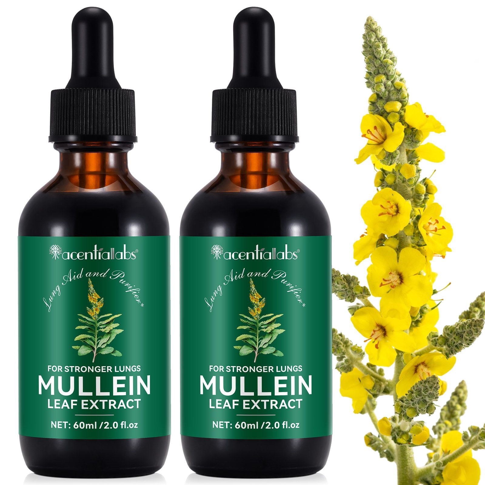 Mullein Drops for Lungs, Mullein Leaf Extract for Lungs with Chlorophyll for Lung Cleanse, Respiratory Support, Boosts Immunity - 2Pack