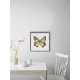 thumbnail image 4 of Parvez Taj "Big Yellow Mariposa" Framed Painting Print, 4 of 6