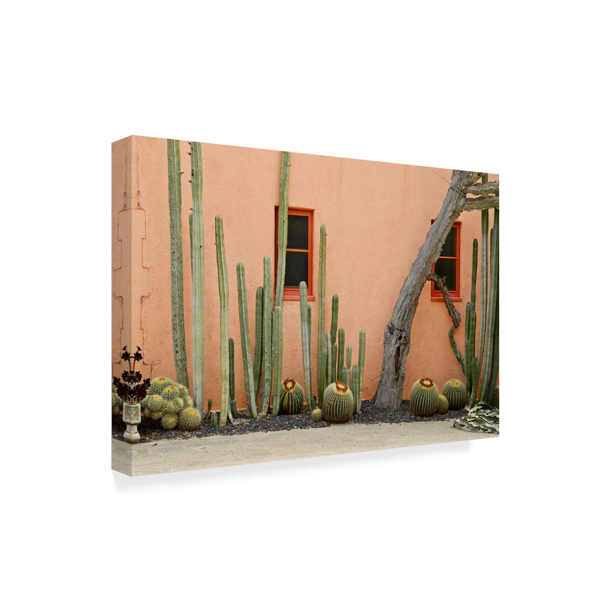 Trademark Fine Art Floral Canvas Art ' Adobe Cact2 ' by School