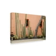 thumbnail image 2 of Trademark Fine Art 'Adobe Cactus2' Canvas Art by American School, 2 of 4