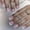 White, variant on RAGUPEL Press on Nails Short Almond Fake Nails Cute Glue on Nails with Star Stripe Bow Designs Patriotic Independence Day Stick on Nails White French Tip Acrylic False Nails for Women Girls