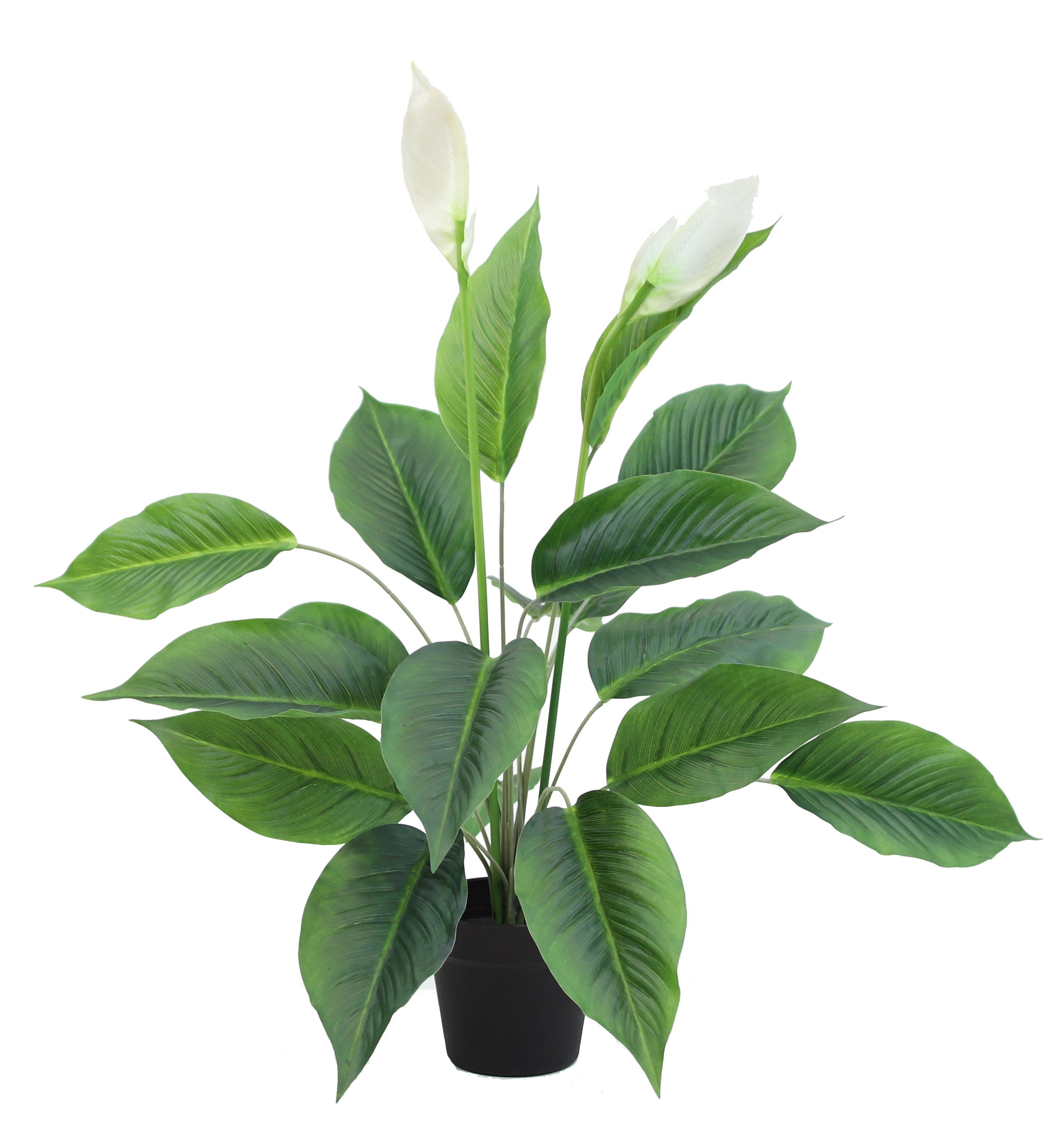 The Mod Greenhouse 29 inch Artificial Green Silk Peace Lily Plant in a