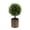 C, variant on Artificial Topiary Potted Boxwood Plant, Ongmies 1Pc Small Fake Topiary Ball Tree Greenery Arrangements, Faux Grass Plant Model Vivid Bonsai Ornament Home Cabinet Shelf