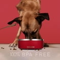 thumbnail image 5 of FAHRMOSIS Cuenco para perros de 32 onzas con inserto de alimentador lento, cuenco de agua para mascotas de acero inoxidable para razas medianas y grandes, base de goma antideslizante y alimentador de, 5 of 5