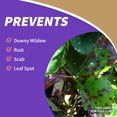 thumbnail image 4 of Pesticida Bonide Captain Jack's Fruit Tree Spray 473 ml, 4 of 8
