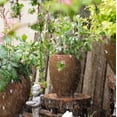thumbnail image 6 of Distressed Cement Plant Pot Tall, 6 of 7