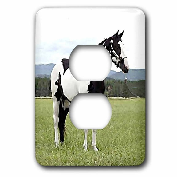 3dRose, Paint Horse, 2 plug outlet cover