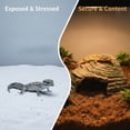 thumbnail image 5 of Reptile Hideout Cave with Basking Platform, 6.6 x 6.4 x 4.1 in Natural Resin Aquarium Decoration, Climbing Ramp, Safe Haven for Small Animals, Lizard, Spider, Turtle Habitat Decor, 5 of 8