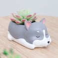 thumbnail image 4 of PENGXIANG Cartoon Dogs Desktop Succulent Plants Flower Pot Home Garden Landscape Decor, 4 of 10
