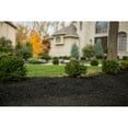 Scotts Nature Scapes Triple Shred Black Mulch