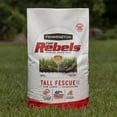 Pennington Rebels Tall Fescue Grass Seed, for Sun to Partial Shade, 7.0