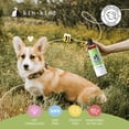thumbnail image 4 of kin+kind Natural Flea and Tick Shampoo for Dogs - Vet Formulated and Plant-Powered - Lavender Scent, 4 of 9