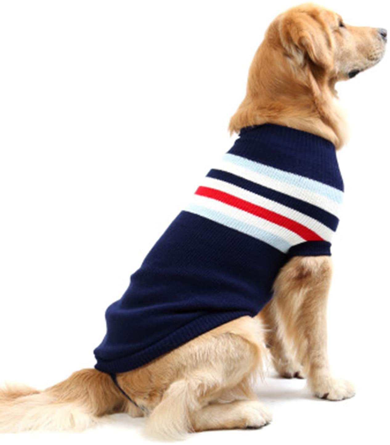 labrador clothes for winter