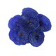 thumbnail image 1 of Planta de peces ornamentales de acuario artificial, coral artificial de suave para ocultar Zulema Acuario Coral, 1 of 5