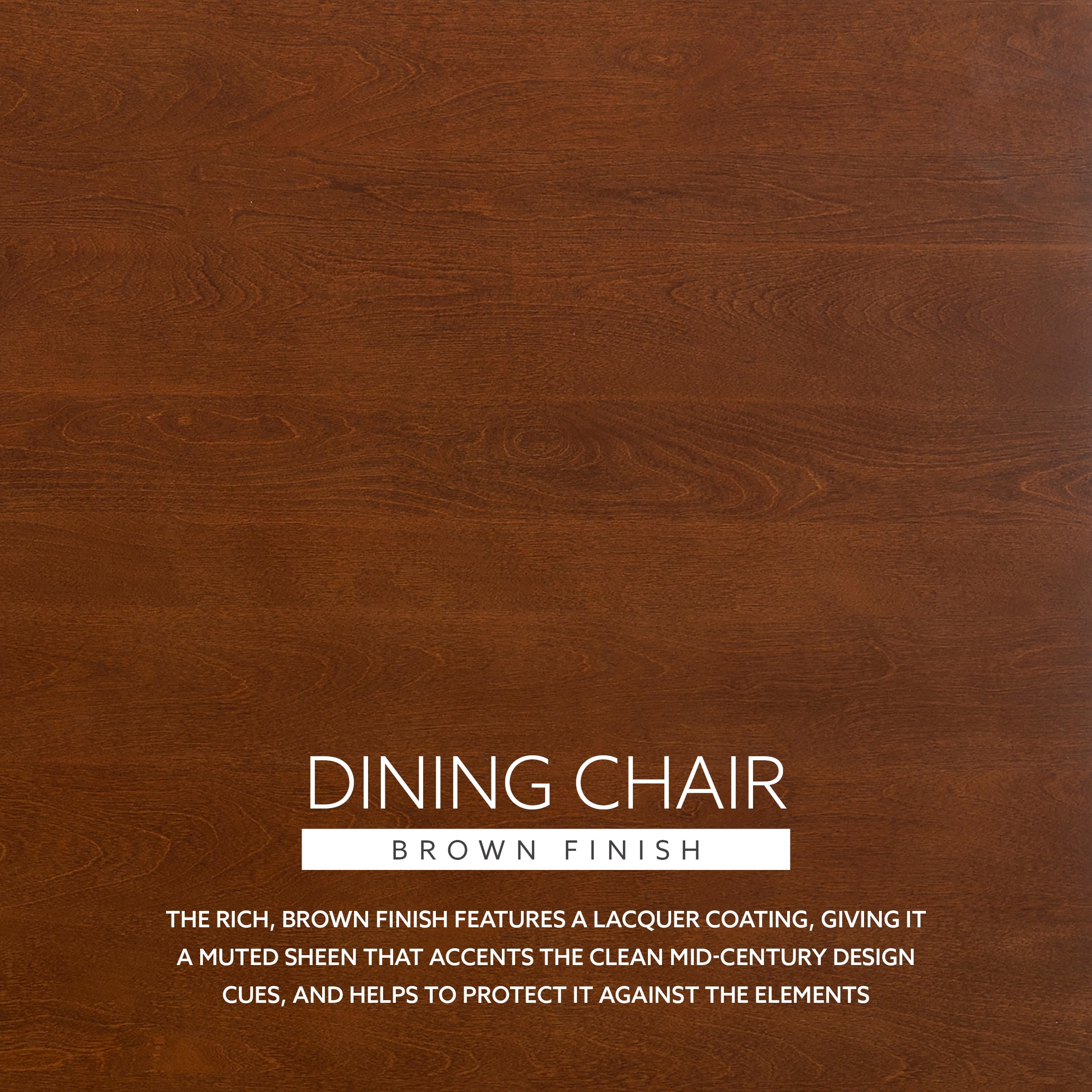 Holden Dining Chair, Set of 2, Brown with Handwoven Rope Seat