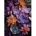 thumbnail image 1 of Qisvanset Colorful Succulent Plants Canvas Wall Art Print, 15.75x11.81 Inches, 1 of 8