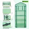 thumbnail image 6 of EAGLE PEAK Indoor Outdoor Portable 4-Tier Mini Greenhouse W/PE Cover, Roll-up Zipper Door & Wheels, Green, 6 of 8