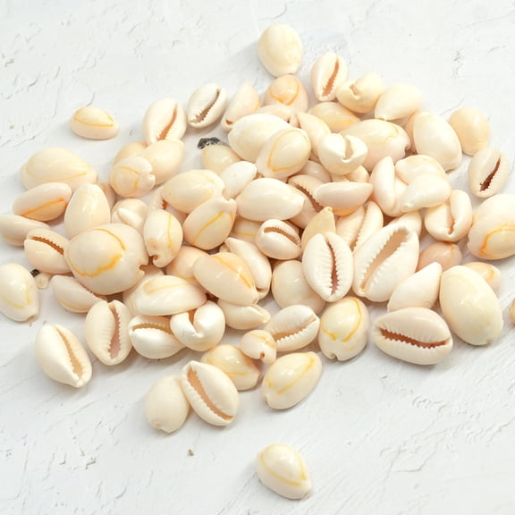 Sinkoo Natural Cowrie Shells Sea Shells for Crafts, 100pcs 0.85inch Money Cowrie Shells Small Seashells for DIY Craft, Vase Filler, Jewelry & Bracelet Making, Crafts Shell Supply