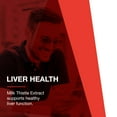 thumbnail image 3 of Protocol Milk Thistle Extract 300mg - Botanical Liver Support - 90 Veg Caps, 3 of 8