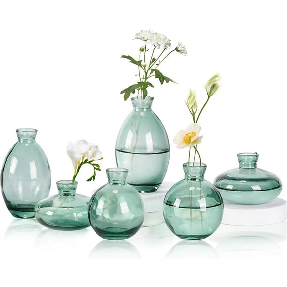 ERDS-Mini Bud Vases As Wedding Centerpieces for Tables,Clear Bud Vases for Flowers,Small Flower Vases Suitable for Birthday Party,Anniversary,Wedding Reception,Baby Shower (Green, 6PCS)