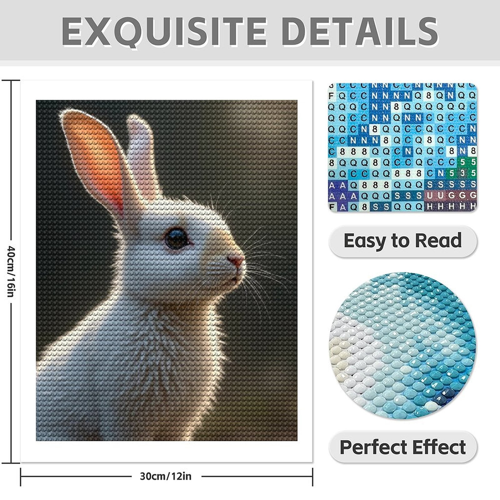 Diamond Art Kit for Adults, Cute Rabbit White Print No.68 Diamond Painting for Adults Beginners, 5D DIY Diamond Art Painting Kits, Colorful Diamond Painting Craft for Home Decor 12x16