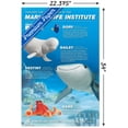thumbnail image 3 of Disney Pixar Finding Dory - Group Wall Poster, 22.375" x 34", 3 of 4