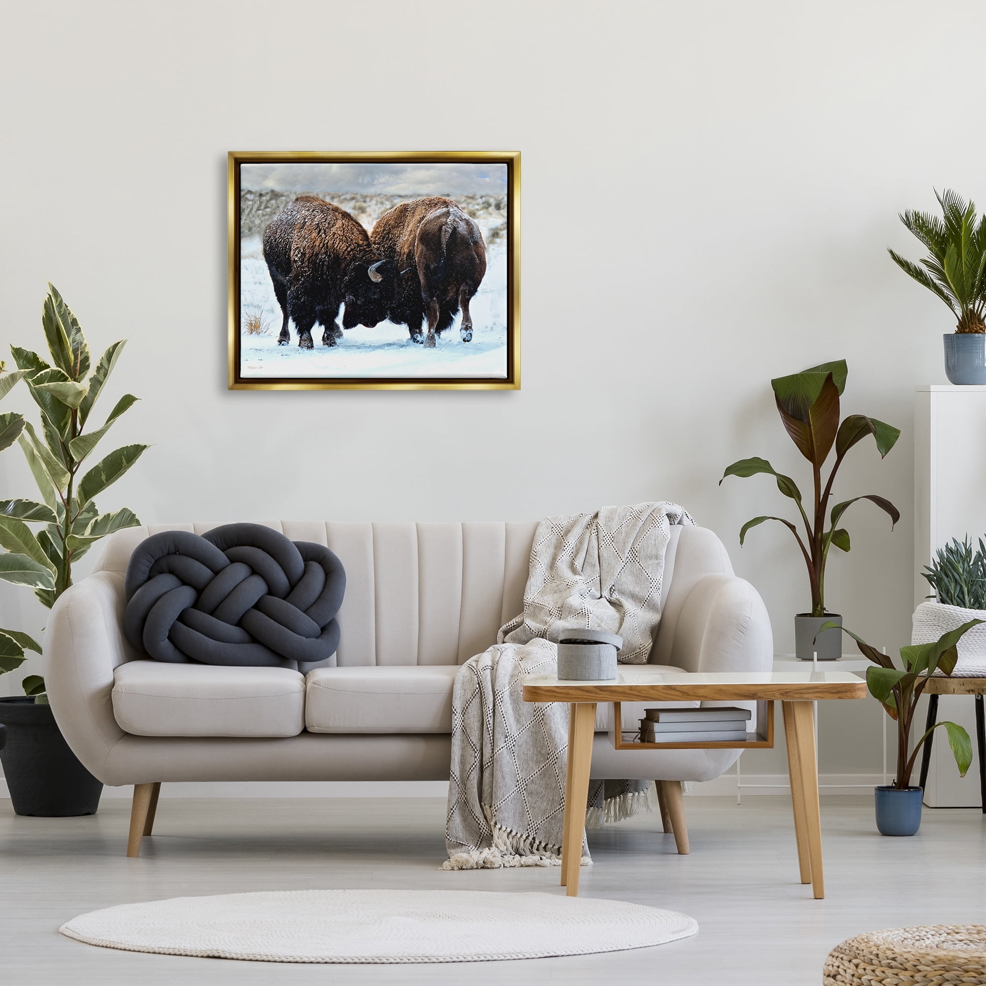 Stupell Industries Fighting Bison Snow Scene Animals & Insects Photography Gold Floater Framed Art Print Wall Art, 31 x 25