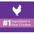 thumbnail image 2 of IAMS PROACTIVE HEALTH HEALTHY KITTEN Dry Cat Food with Fish Oil and Chicken, 3.5 lb. Bag, 2 of 3