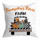 thumbnail image 3 of Set of 4 Halloween Ultra-Short Pumpkin Velvet Pillowcases, Sofa Cushion Cover (45x45cm), 3 of 4