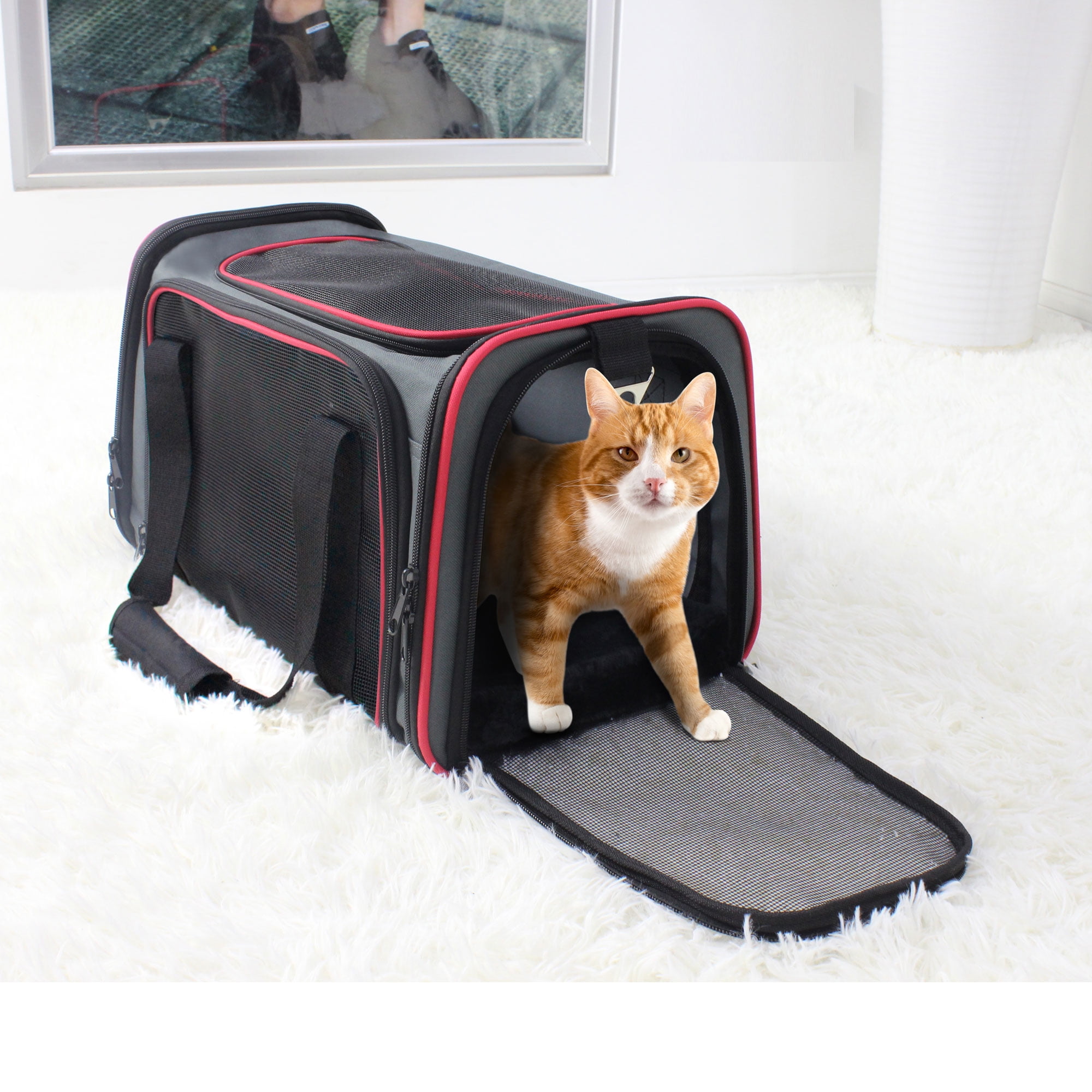 WDM Airline Approved, Soft Sided Collapsible Pet Carrier Black/Gray Large