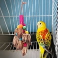thumbnail image 4 of Natural Fruit Bird Hanging Swing Parrot Biting Chewing Playing Cage Training Toy Accessory, 4 of 11