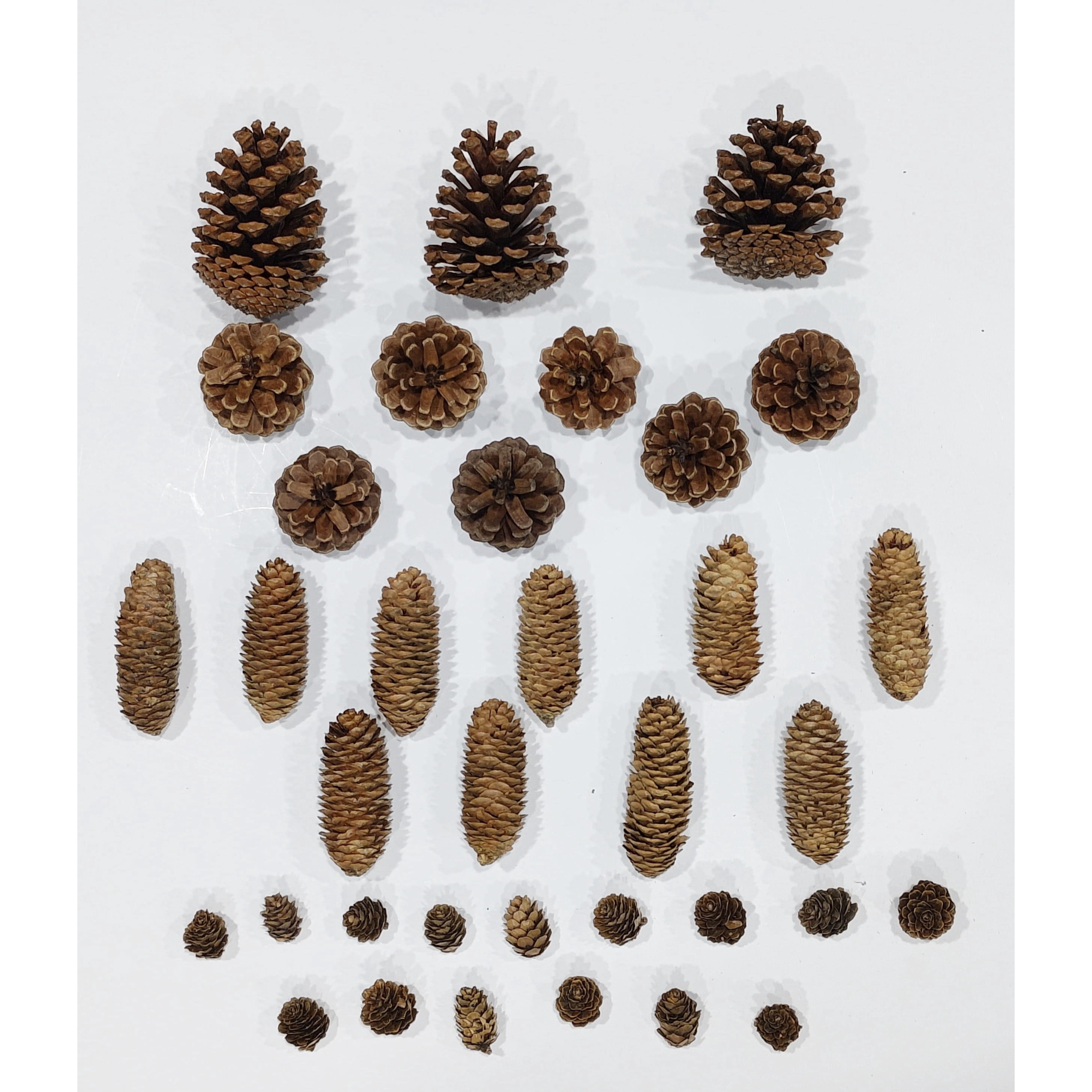 Pinecone Filler Christmas Decoration, Brown, 35 Count, by Holiday Time