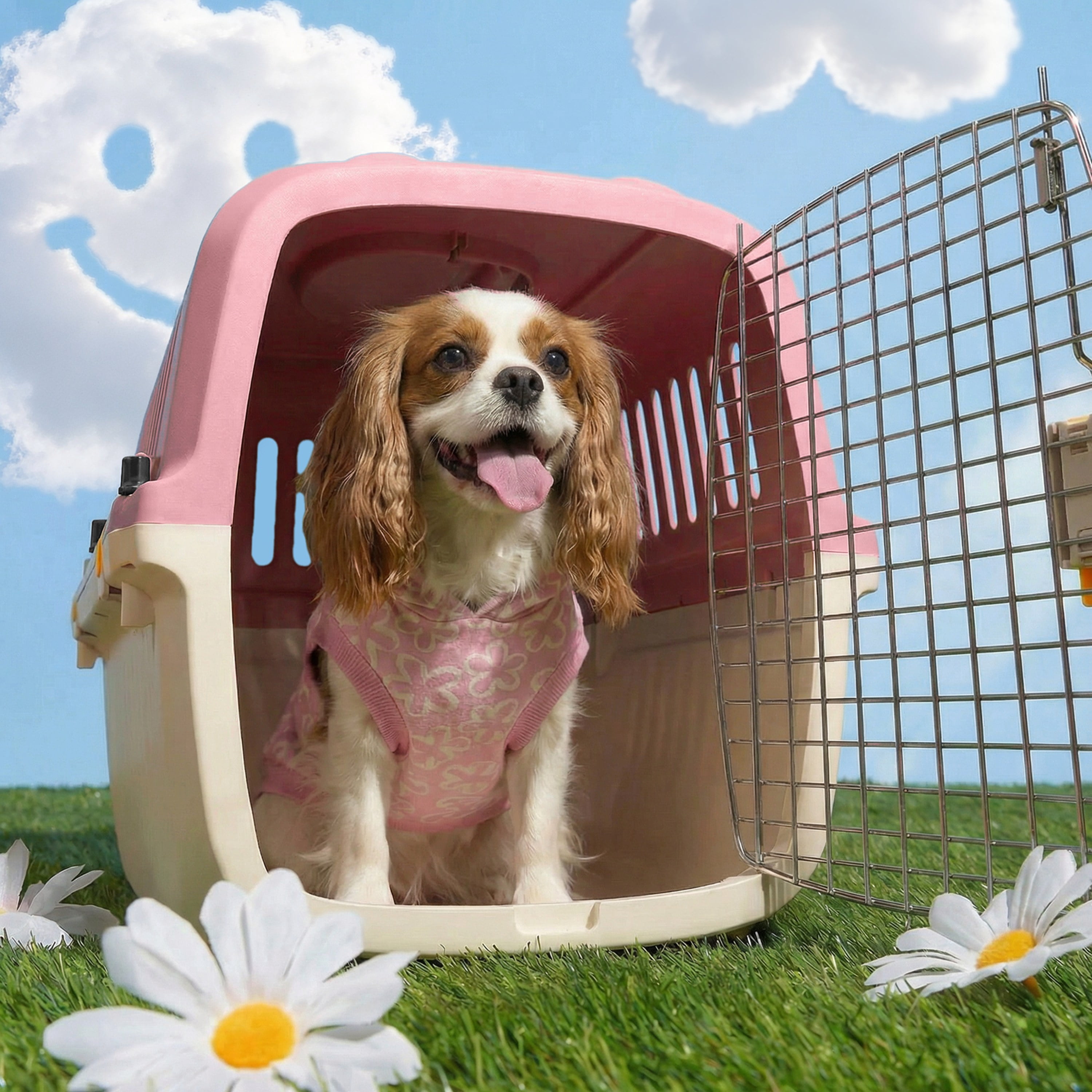 Oodles 24" Plastic Travel Pet Kennel, with Clip On Bowl, Pink