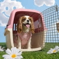 thumbnail image 5 of Oodles 24" Plastic Travel Pet Kennel, with Clip On Bowl, Pink, 5 of 13