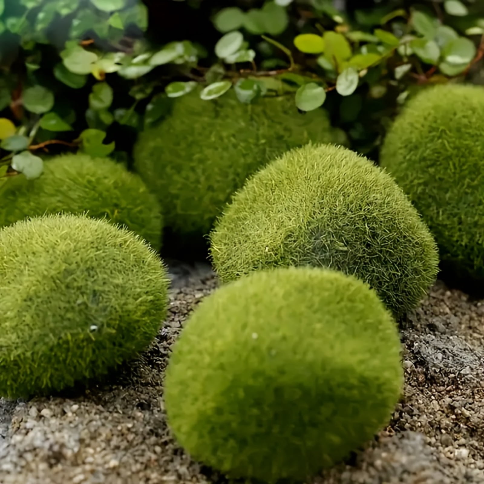 40PCS Artificial Moss Rocks Green Moss Decor for Floral Arrangements, Fairy Gardens and Crafting