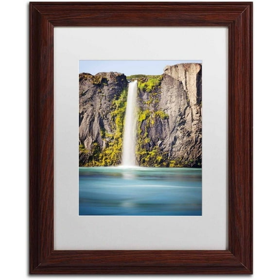 Trademark Fine Art 'Odessa' Canvas Art by Philippe Sainte-Laudy, White Matte, Wood Frame