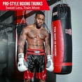 thumbnail image 6 of Ringside Pro-Style Boxing Trunks, Satin Shorts for Men and Women, Ideal for Boxing, MMA, Muay Thai, 6 of 7
