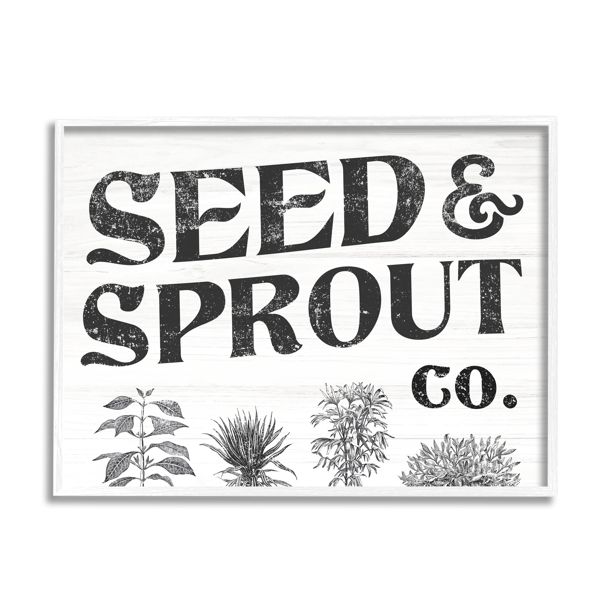 Stupell Industries Seed & Sprout Antique Botanicals Gardening Typography Graphic Art White Framed Art Print Wall Art, Design by Daphne Polselli